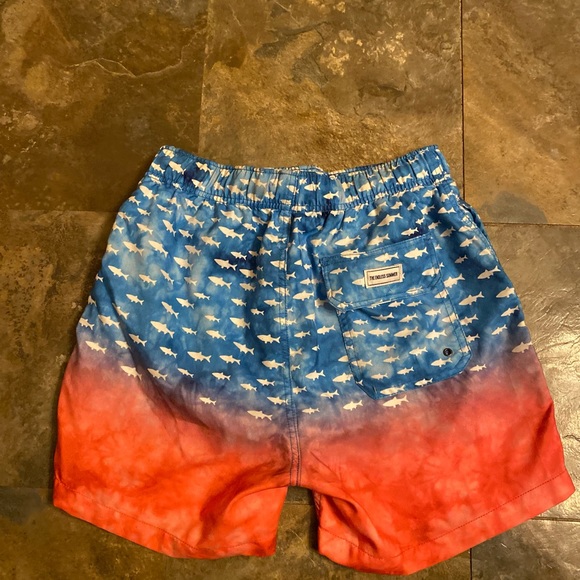 The Endless Summer Mens Swim Trunks - Picture 5 of 5